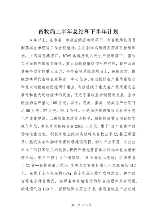 畜牧局上半年总结和下半年计划.docx