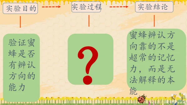 14《蜜蜂》课件