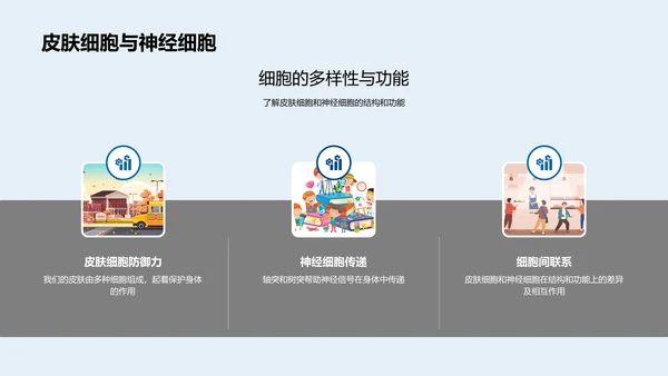 初中生物细胞学报告PPT模板