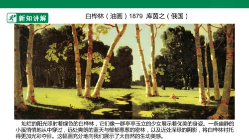 第三课《认识身边的树》课件