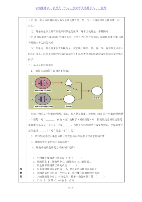 人教版八年级生物下册导学案：7.2.2基因在亲子代间的传递(无答案).docx