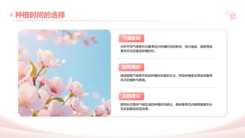 粉色实景风春季花卉主题汇报PPT模板