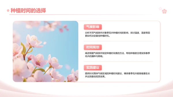 粉色实景风春季花卉主题汇报PPT模板
