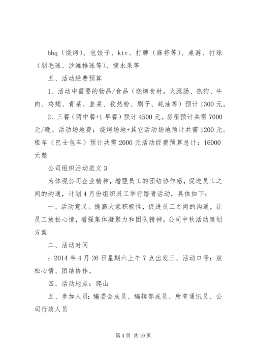 公司组织活动范文.docx