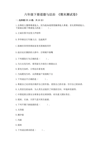 六年级下册道德与法治 《期末测试卷》a4版可打印.docx