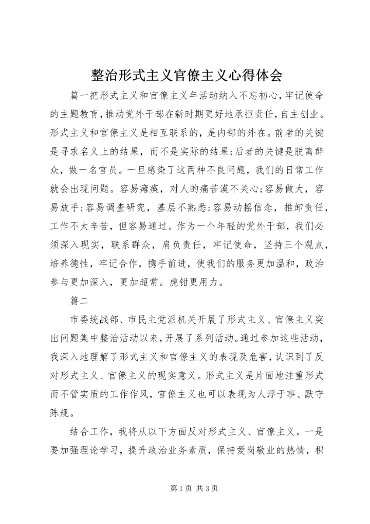 整治形式主义官僚主义心得体会.docx
