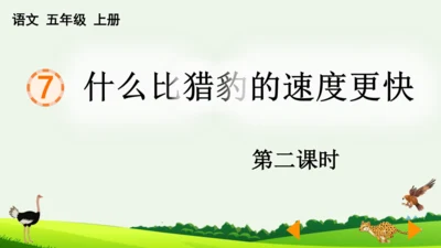 7 什么比猎豹的速度更快 第二课时 课件