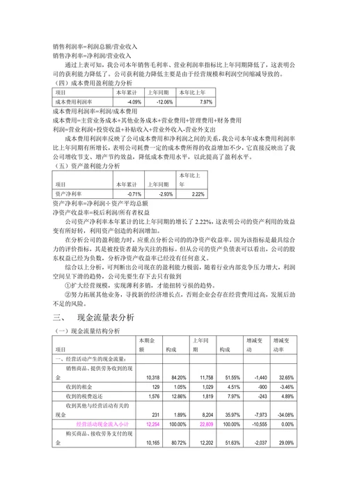 财务报表分析报告