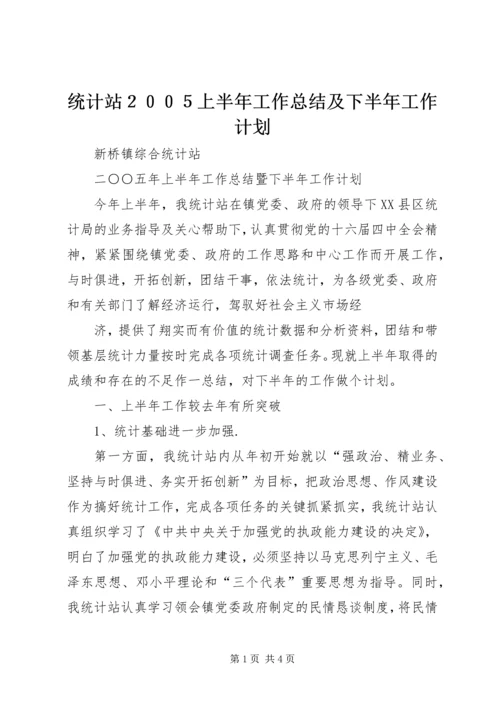 统计站２００５上半年工作总结及下半年工作计划.docx