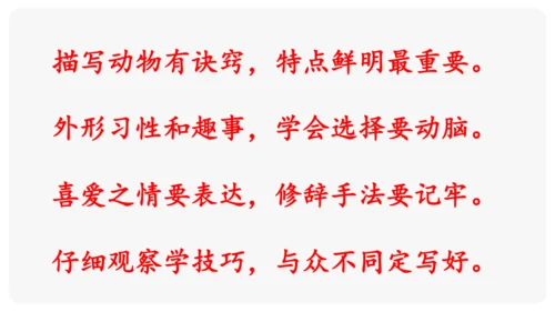 “一核双五”阅读教学法 统编版语文四年级下册第四单元 组文阅读课 课件