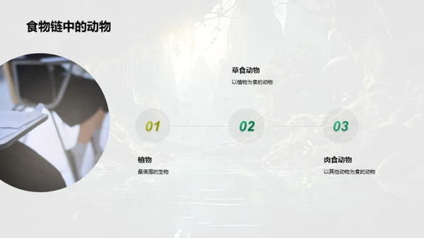 探秘动物世界