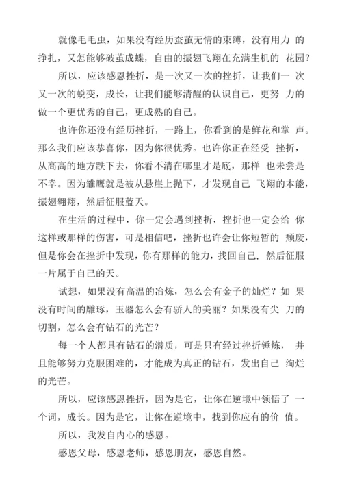 感恩挫折教师演讲稿.docx