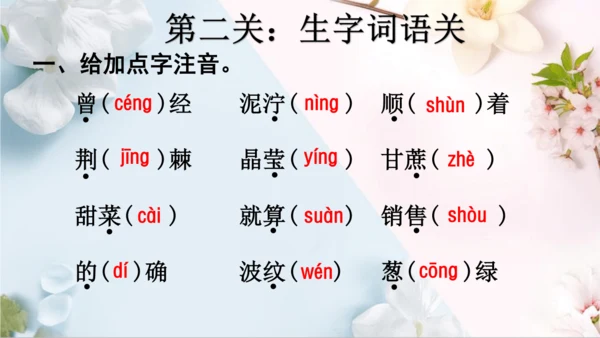 统编版语文二年级下册第二单元复习单（课件）