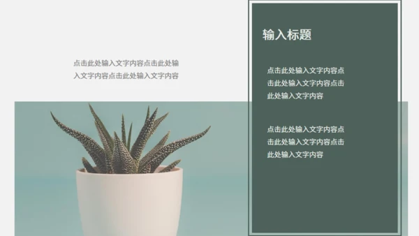 极简设计产品宣传海鸟通用PPT模板