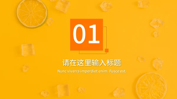橙色夏季风优雅商务工作汇报通用PPT模板