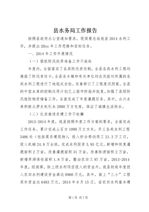 县水务局工作报告 (4).docx