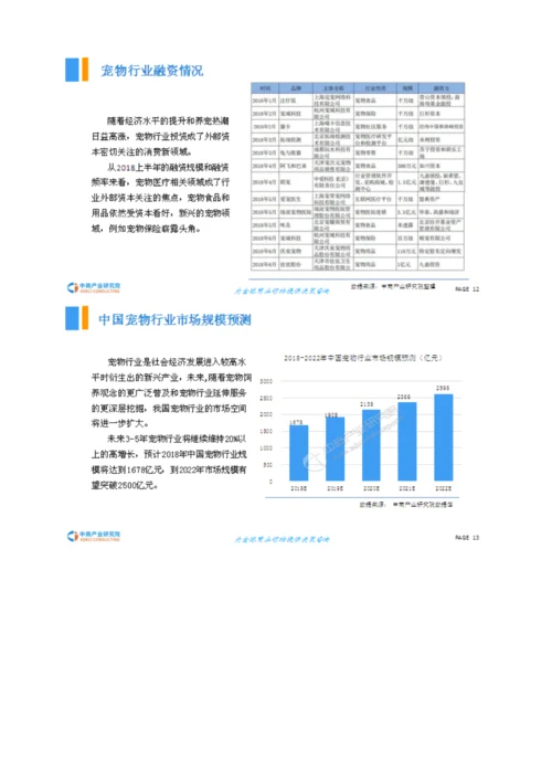 宠物医疗行业市场前景研究报告.docx