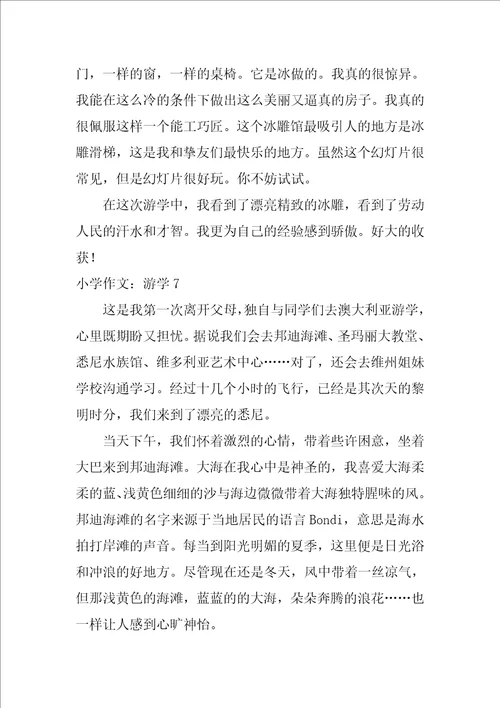 2022小学作文：游学