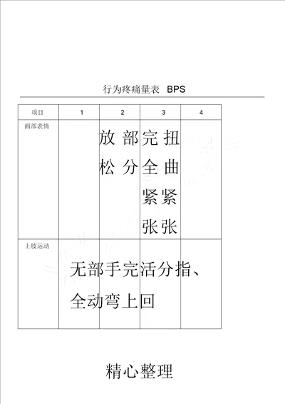 行为疼痛量表格模板BPS