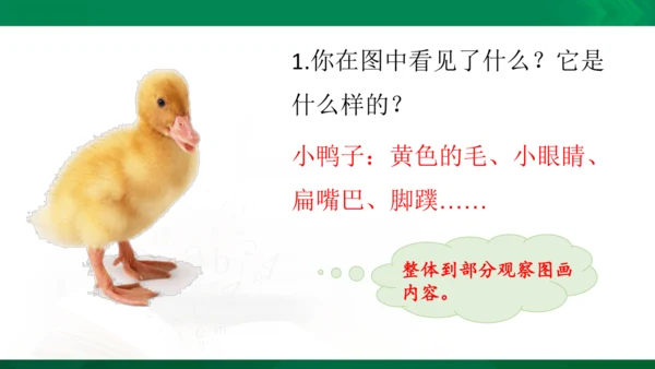 部编版二年级语文看图写话写动物课件