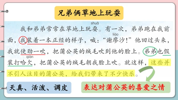 第16课《金色的草地》（第一课时）课件