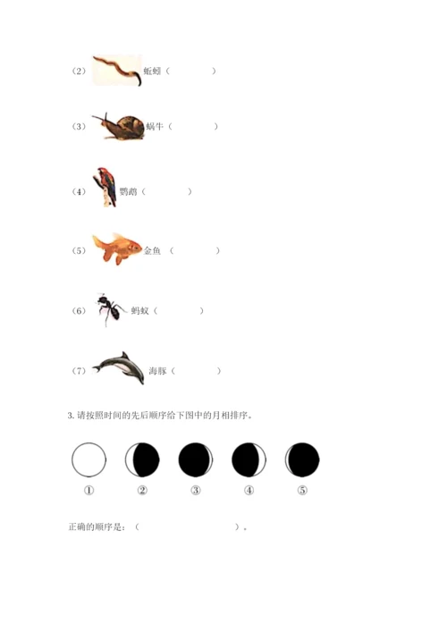 教科版二年级上册科学期末测试卷附完整答案【精选题】.docx