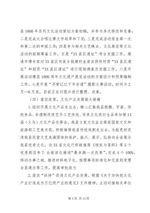 文广新局201X年上半年工作总结及下半年工作安排.docx