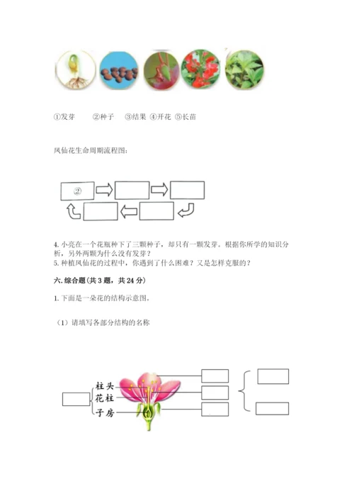 科学四年级下册第一单元《植物的生长变化》测试卷（基础题）.docx
