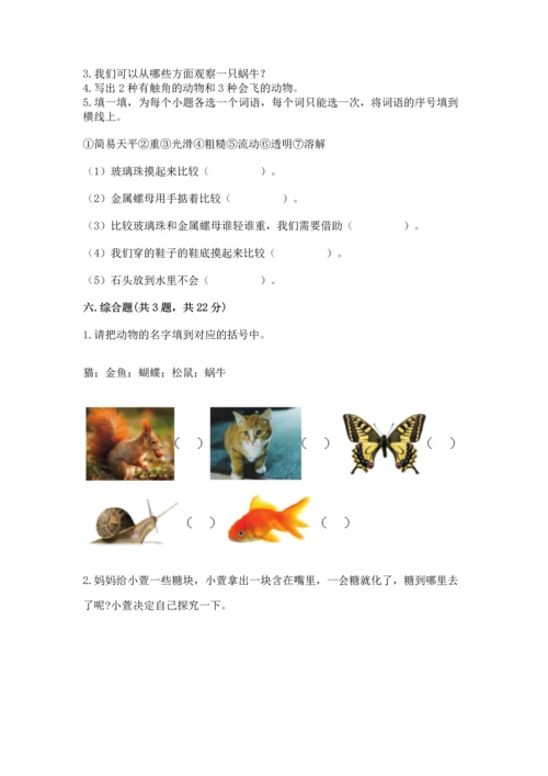 教科版一年级下册科学期末测试卷及参考答案（综合题）.docx