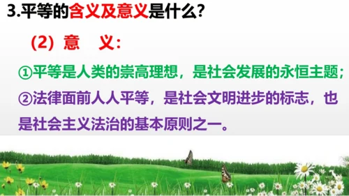 第七课  尊重自由平等  复习课件（24张PPT ）