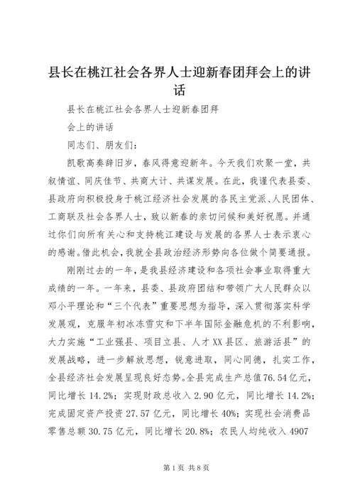 县长在桃江社会各界人士迎新春团拜会上的讲话.docx