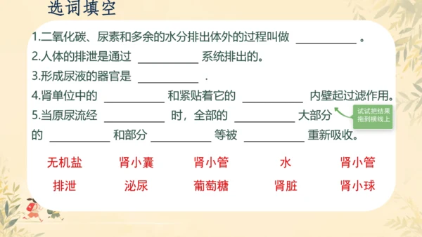 初中生物学人教版（新课程标准）七年级下册4.5 人体内废物的排出课件(共24张PPT)