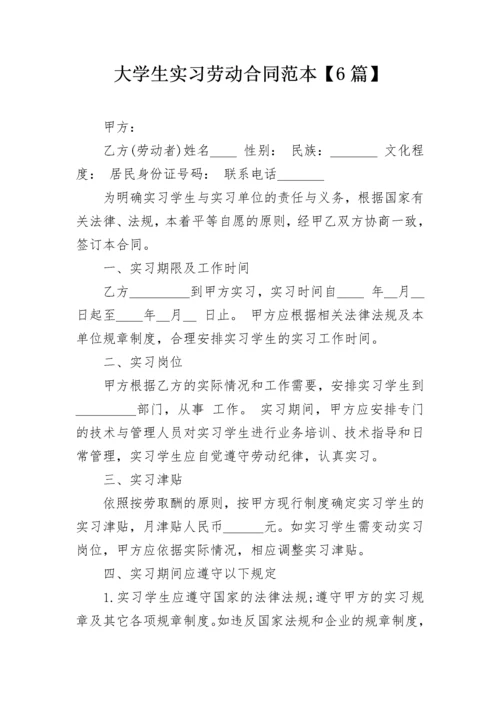 大学生实习劳动合同范本【6篇】.docx