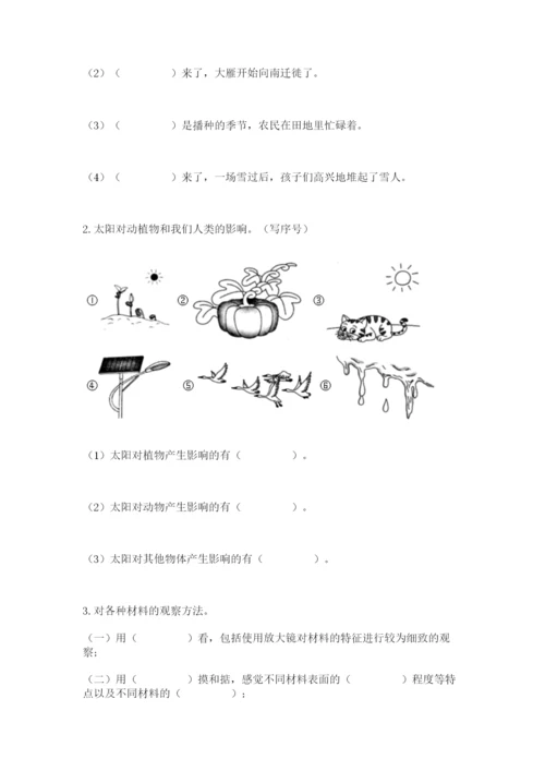 教科版科学二年级上册期末测试卷【考点精练】.docx