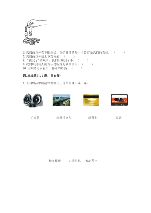 教科版二年级下册科学知识点期末测试卷【考试直接用】.docx