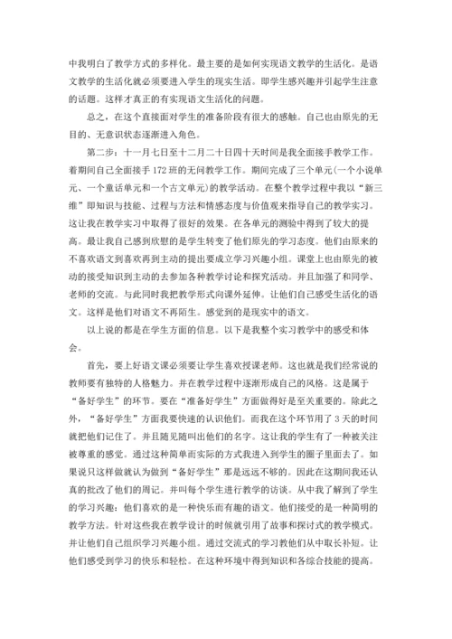 汉语言文学实习报告10篇.docx
