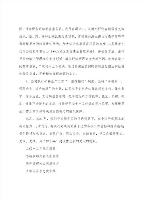 总结表彰大会表态发言