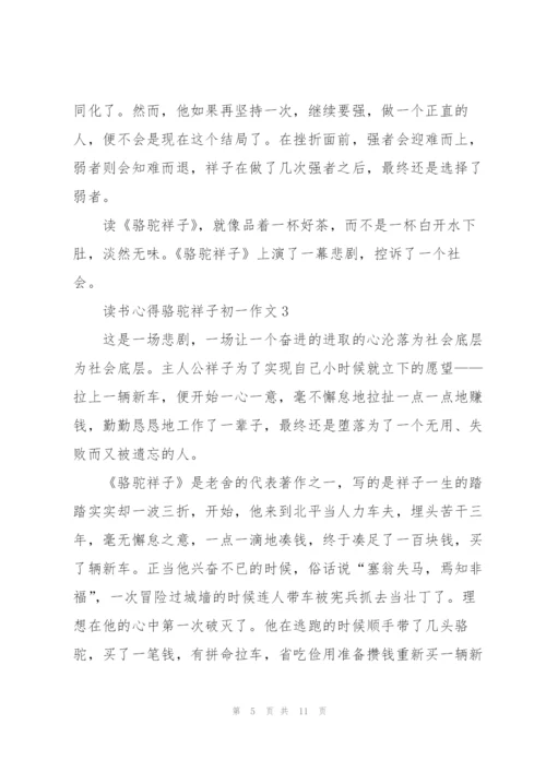 骆驼祥子初一学生读书心得作文5篇.docx