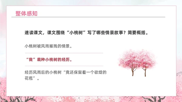 粉色水彩水墨一颗小桃树课件PPT七年级语文下册PPT七年级下册语文课件