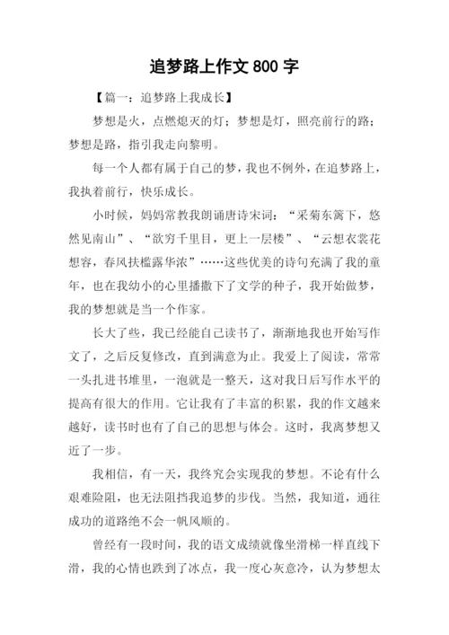 追梦路上作文800字.docx