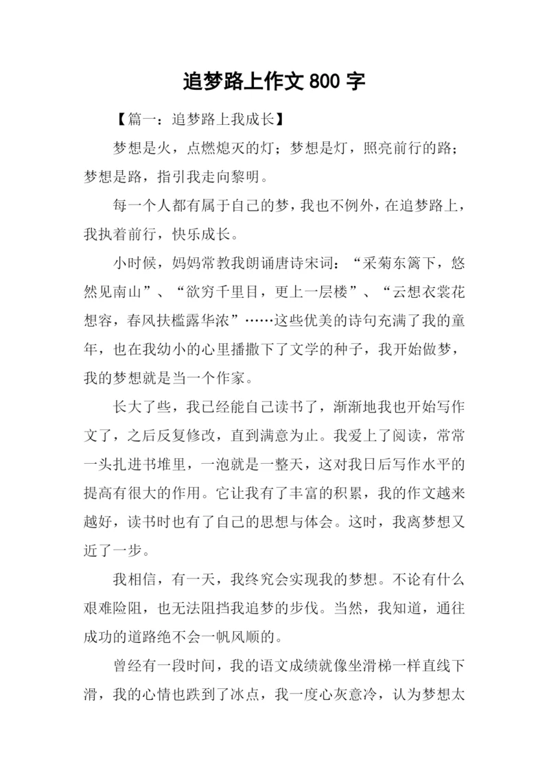 追梦路上作文800字.docx