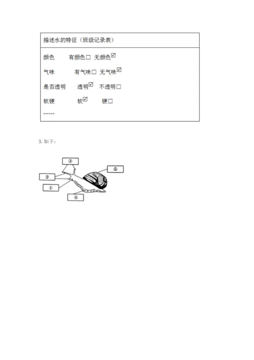 教科版一年级下册科学期末测试卷及完整答案【全国通用】.docx