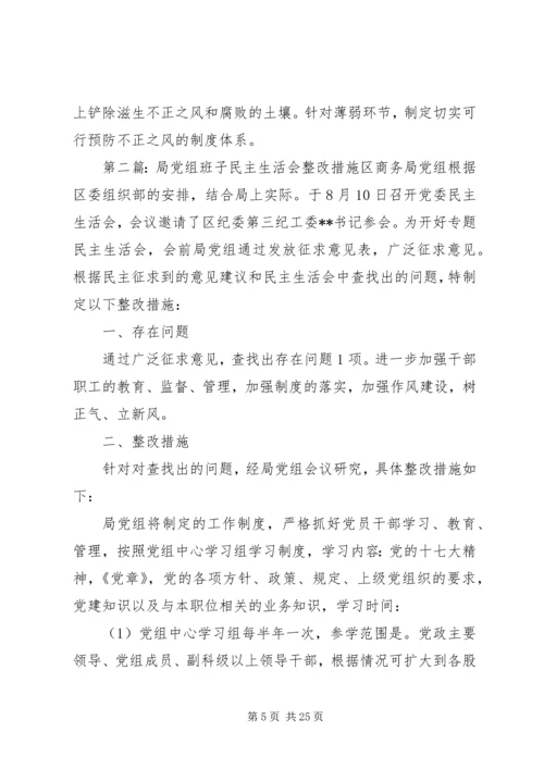 政府党组民主生活会整改措施(精选多篇).docx