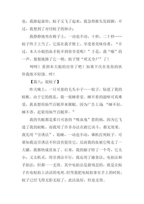 关于蚊子的作文.docx