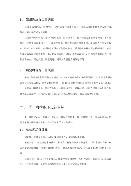 X跨境电商平台运营发展专项方案.docx