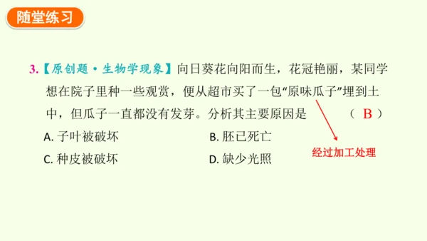 3.1.1 种子的萌发-七年级生物下学期同步精品课件（2024人教版）(共25张PPT)