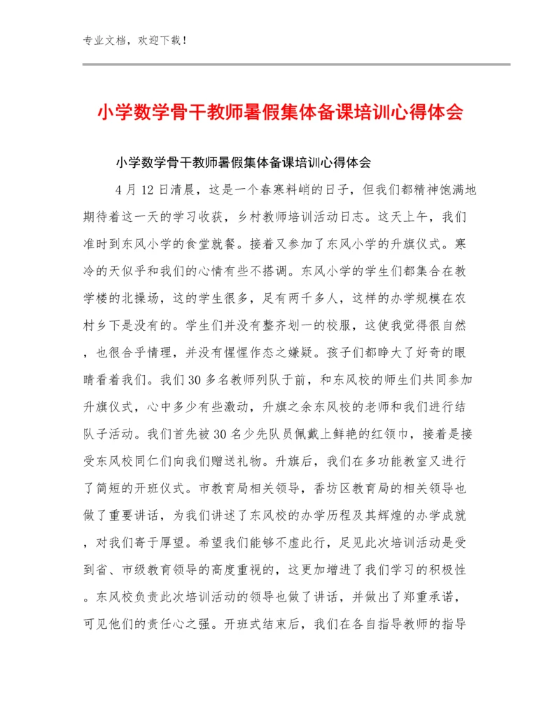 小学数学骨干教师暑假集体备课培训心得体会优选范文10篇文档汇编.docx