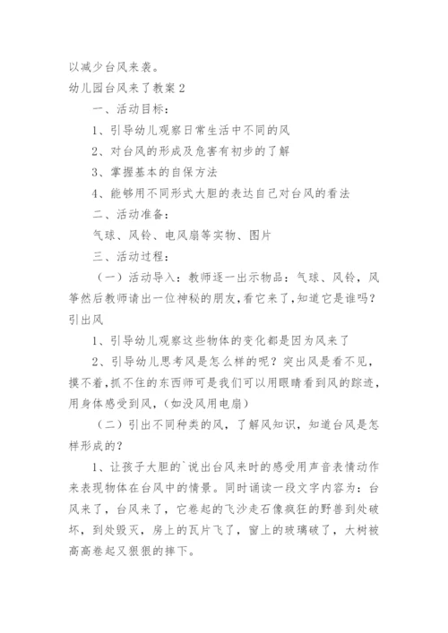 幼儿园台风来了教案.docx