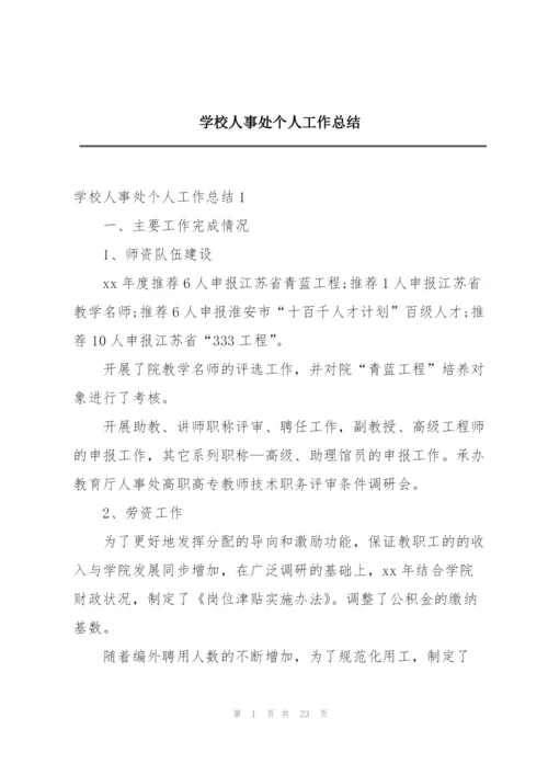 学校人事处个人工作总结.docx