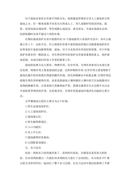 有关工程类实习报告汇编九篇.docx